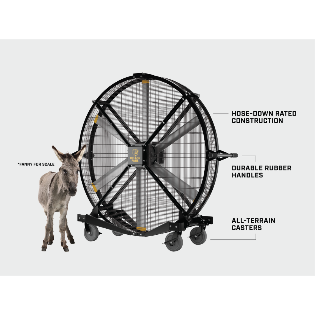 Big Ass Fans Black Jack Directional Fan F-BJ1-0601 large portable directional fan with airflow diagram and industrial design
