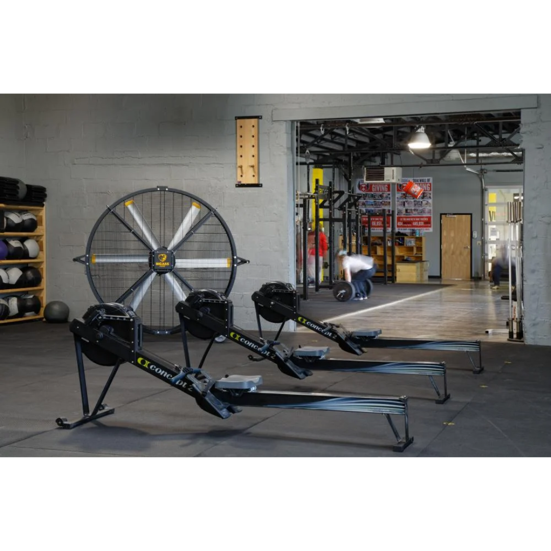 Big Ass Fans Black Jack Directional Fan F-BJ1-0601 portable fan positioned in gym facility for large-area cooling