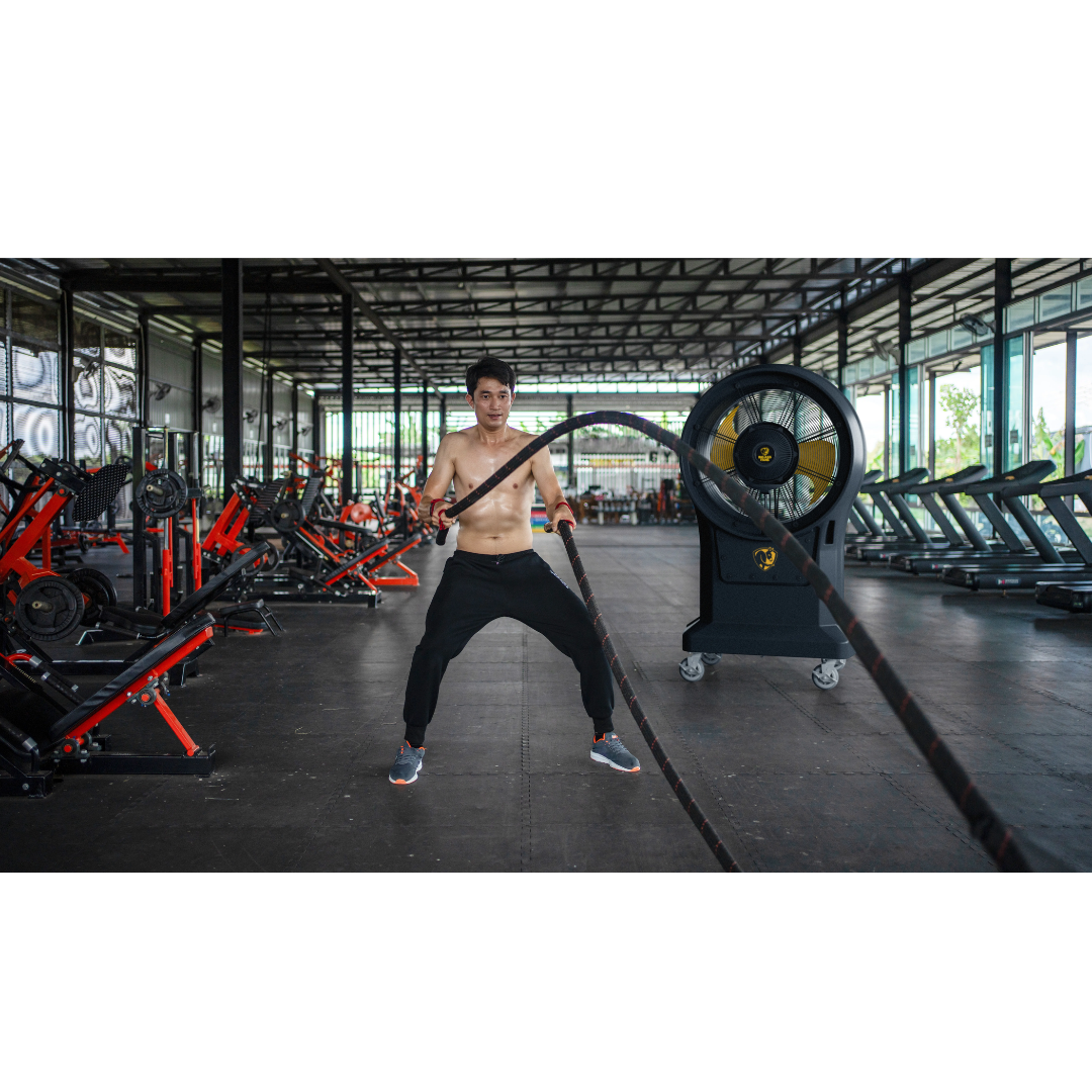 Big Ass Fans Torrent Portable Misting Fan F-TOR1-3001 portable misting fan used for gym or fitness training cooling