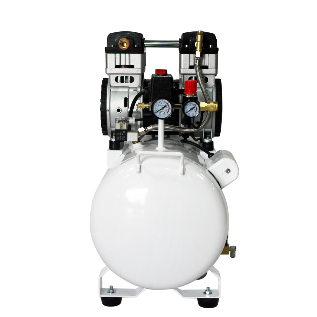 California Air Tools 10020CHAD Powerful 2.0 Hp Ultra Quiet Oil-Free 10 Gallon Air Compressor rear motor assembly view.
