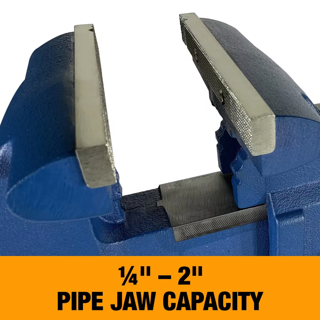 Close-up view of Baileigh Bench Vise pipe jaws with 5-1/2-inch jaw width and 6-inch opening capacity, designed to securely hold pipe, tubing, and round stock materials.