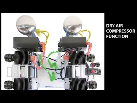 California Air Tools 10020DSPCAD 10-Gallon 2.0 Hp Ultra Quiet Oil-Free Air Compressor internal system components and dual motor display